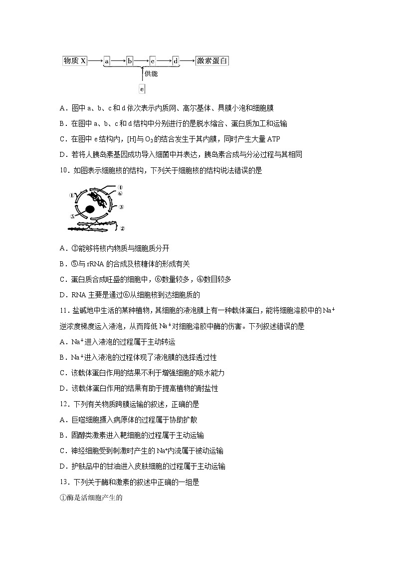 【生物】陕西省汉中市龙岗学校2019-2020学年高二上学期期末考试试题第3页