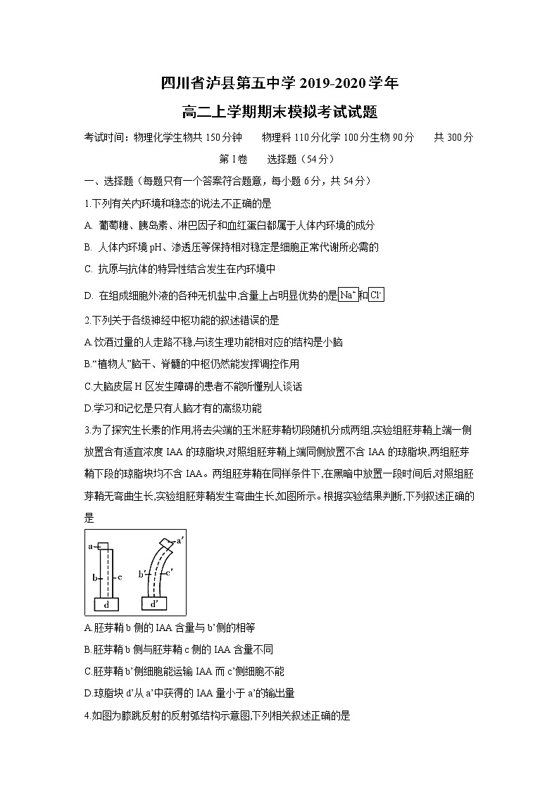 【生物】四川省泸县第五中学2019-2020学年高二上学期期末模拟考试试题01