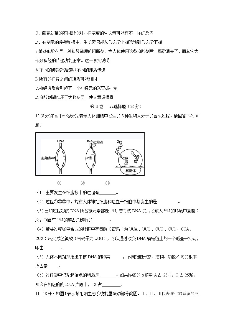 【生物】四川省宜宾市叙州区第二中学2019-2020学年高二上学期期末模拟考试生物试题03