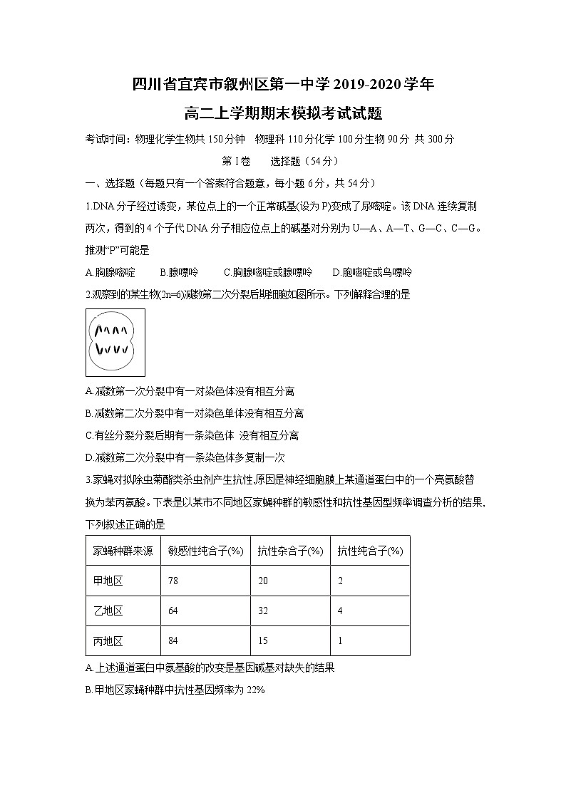 【生物】四川省宜宾市叙州区第一中学2019-2020学年高二上学期期末模拟考试试题01