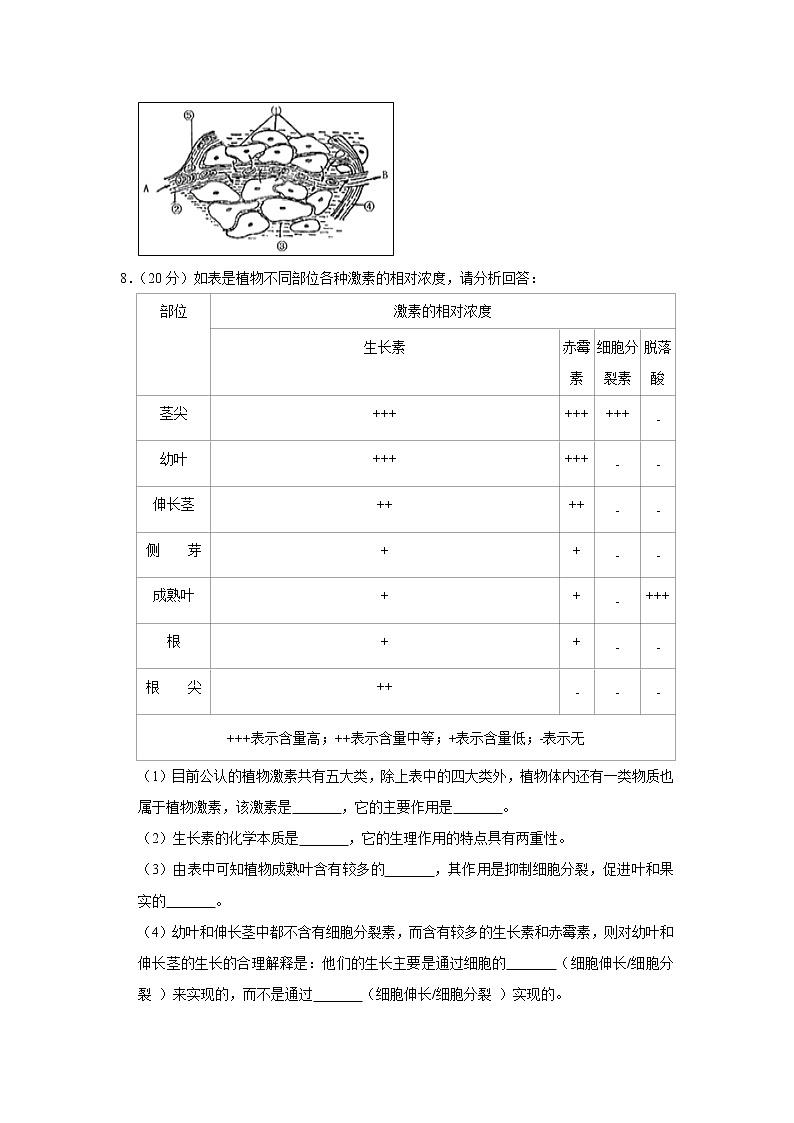 【生物】西藏林芝一中2019-2020学年高二上学期期末考试试题（解析版）03
