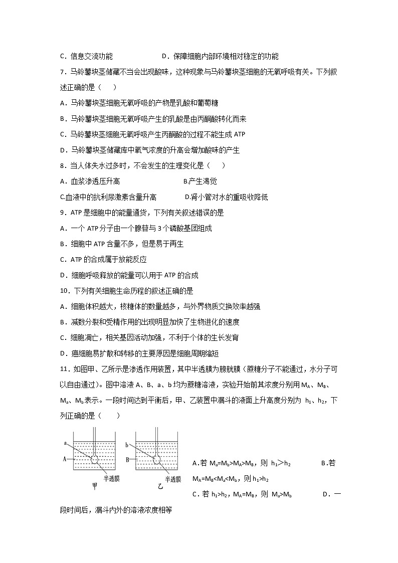 【生物】新疆昌吉市教育共同体2019-2020学年高二上学期期末考试试题02