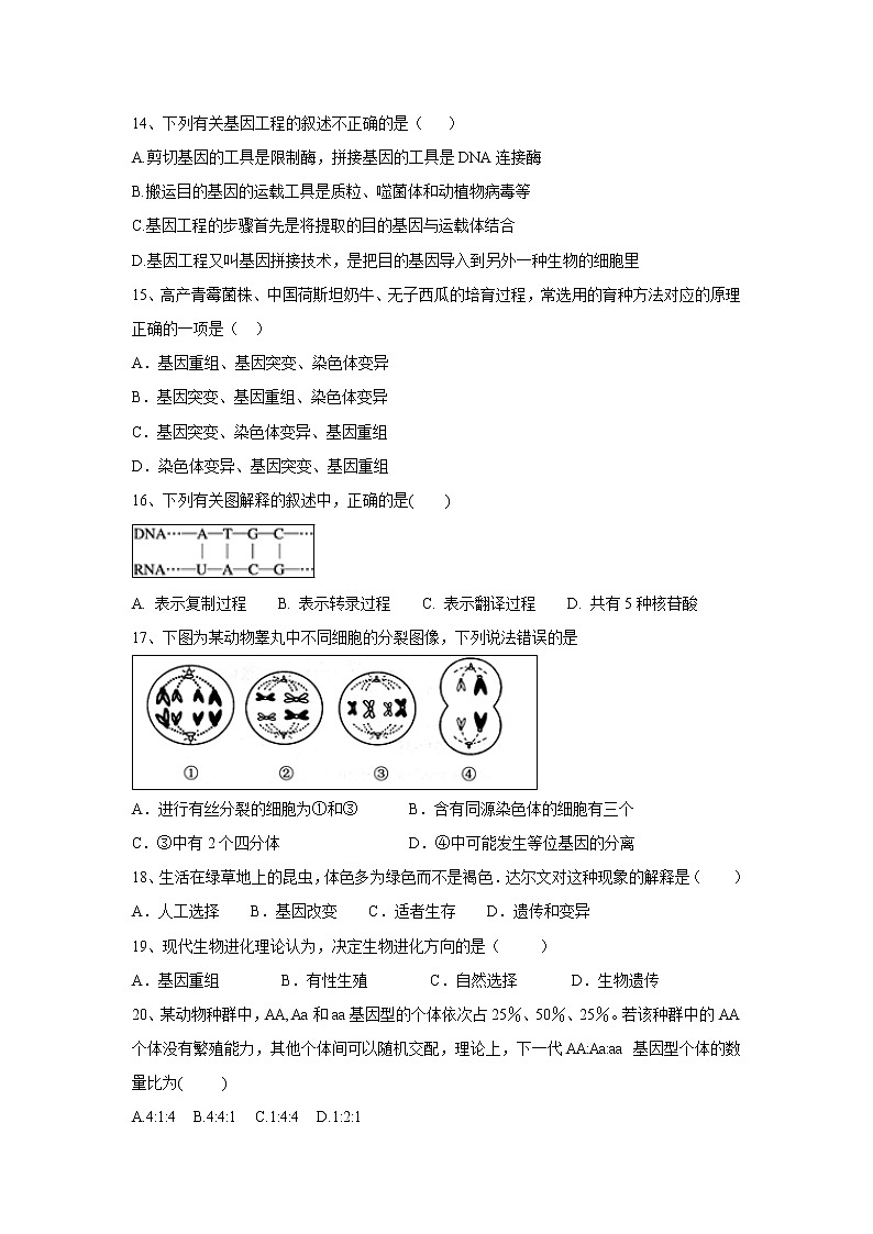 【生物】新疆维吾尔自治区吐鲁番市高昌区第二中学2019-2020学年高二上学期期末考试试题03