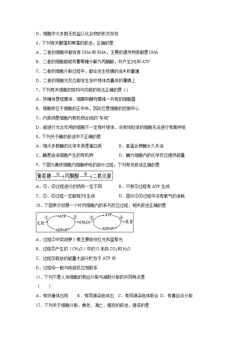【生物】云南省陆良县第八中学2019-2020学年高二上学期期末考试试题02