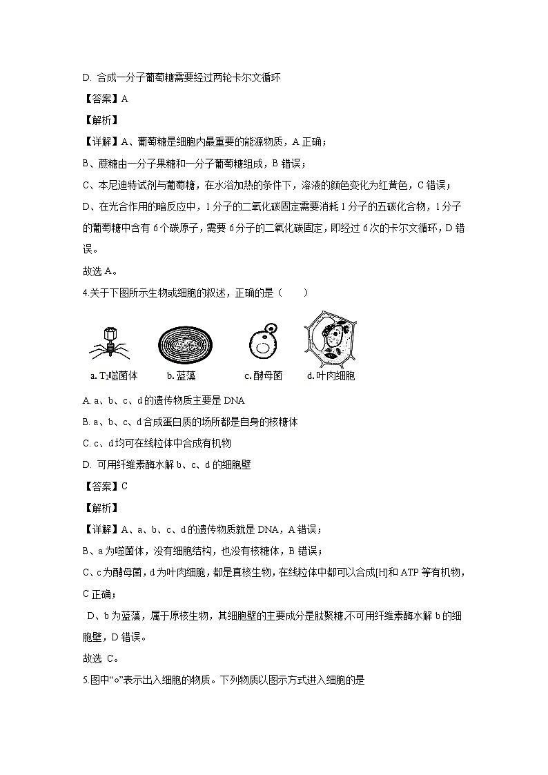 【生物】浙江省杭州市七县区2019-2020学年高二上学期期末考试试题（解析版）02