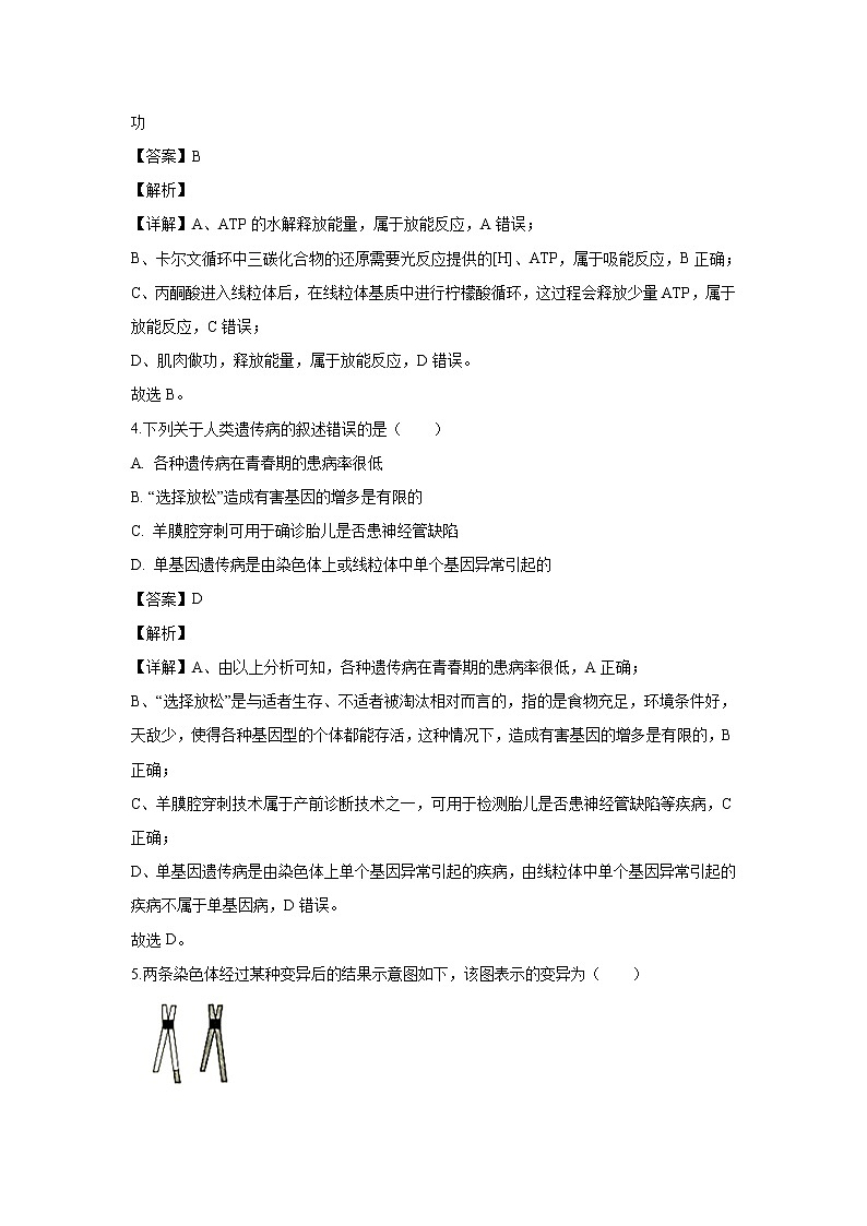 【生物】浙江省金华市金华十校2019-2020学年高二上学期期末考试试题（解析版）02