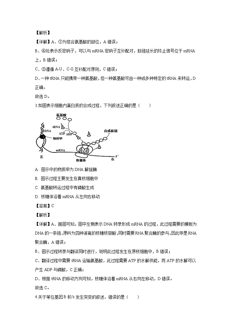 【生物】重庆市部分区2019-2020学年高二上学期期末考试试题（解析版）第2页
