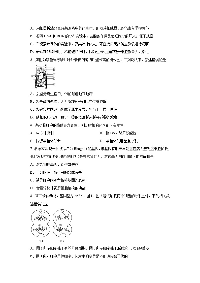 【生物】安徽省黄山市2019-2020学年高二下学期期末考试试卷02