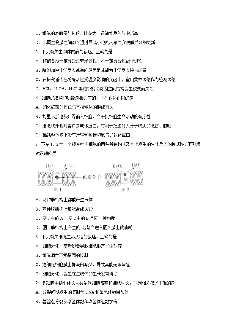 【生物】安徽省皖西南名校2019-2020学年高二下学期期末联考试题02