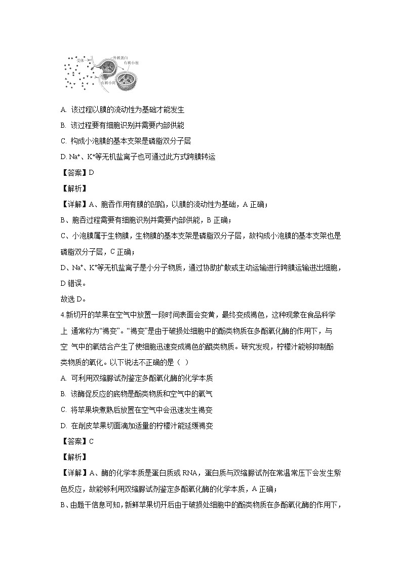 【生物】北京市密云区2019-2020学年高二下学期期末考试试卷（解析版）02