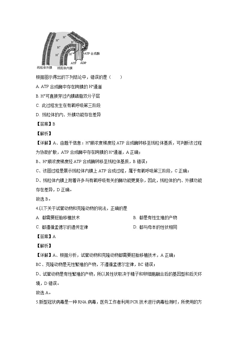 【生物】北京市延庆区2019-2020学年高二下学期期末考试试题（解析版）02