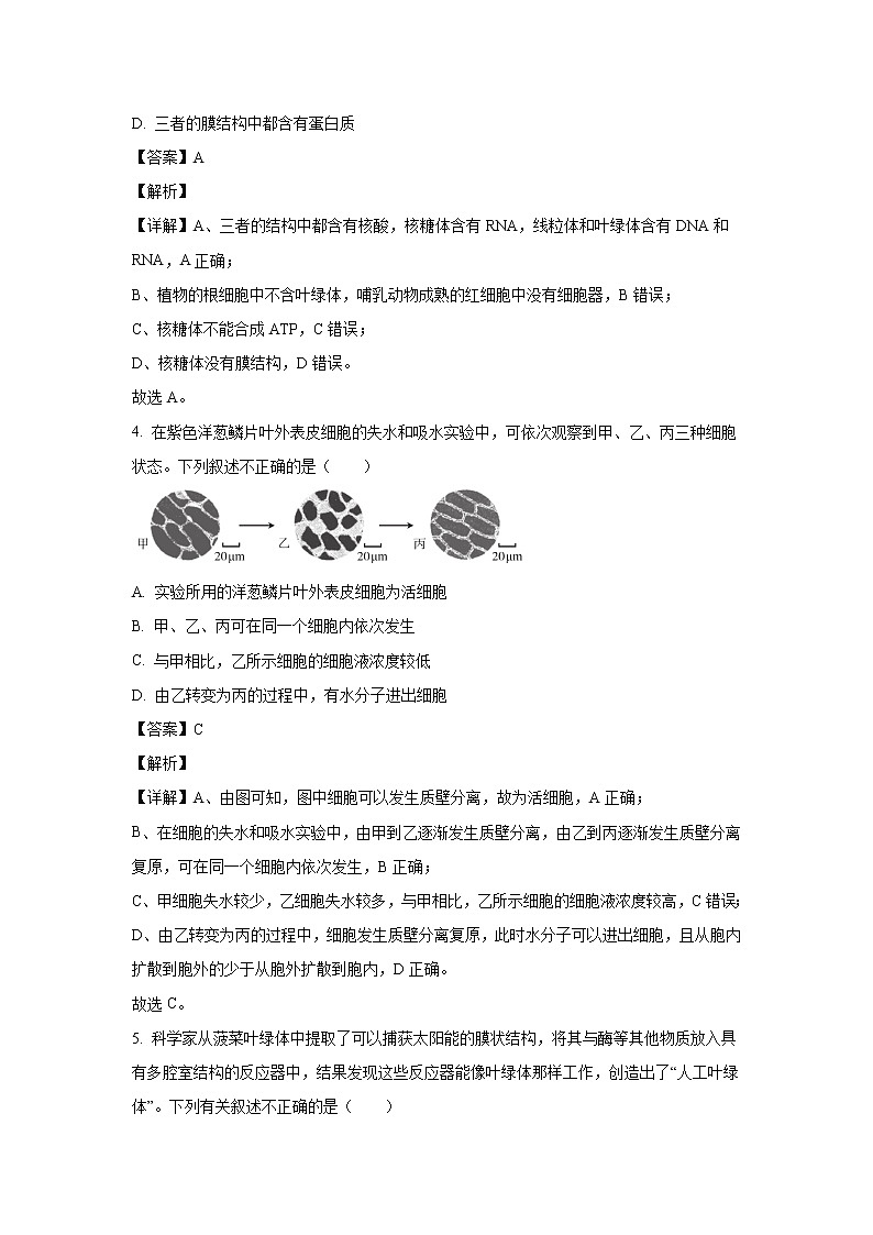 【生物】北京市东城区2019-2020学年高二下学期期末统一检测试题（解析版）02