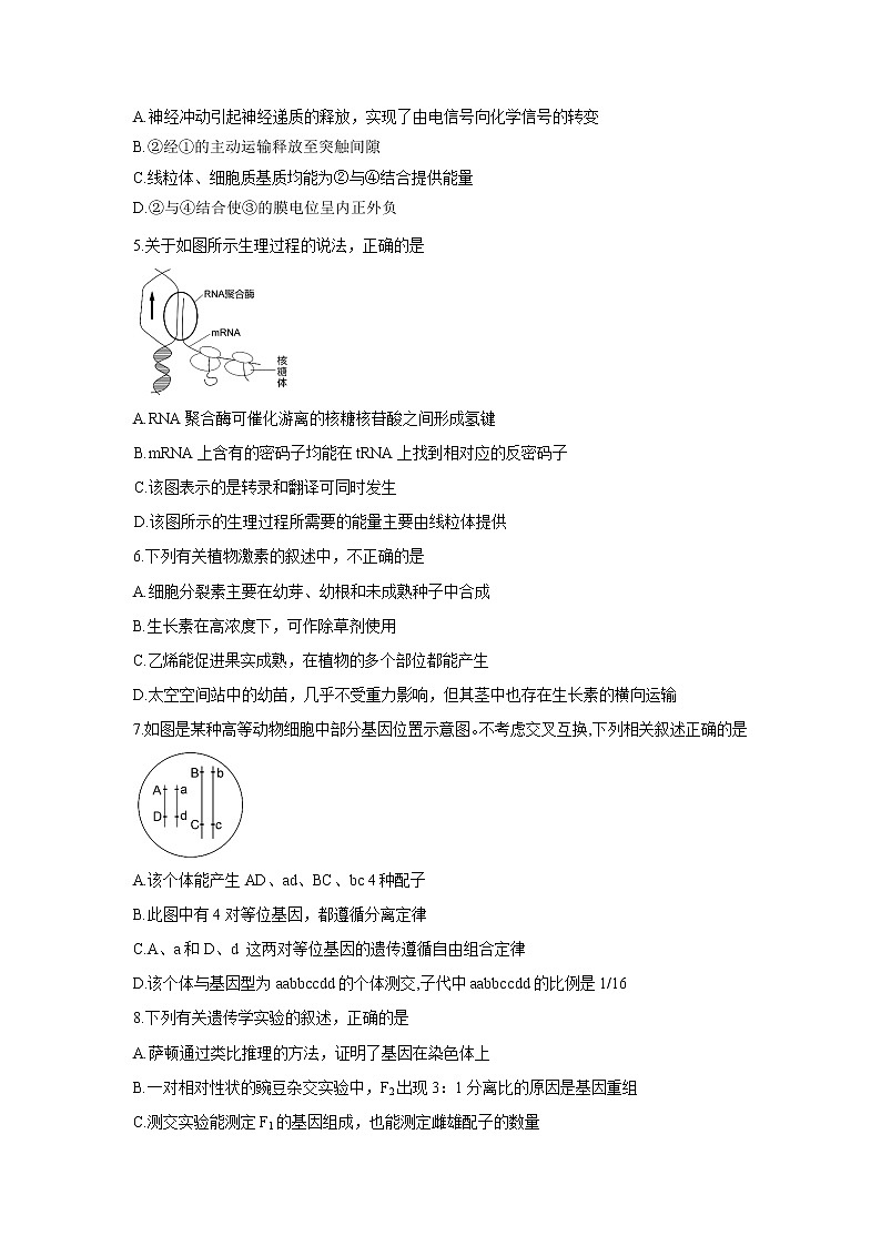 【生物】广东省汕头市2019-2020学年高二下学期期末考试试题 (1)02