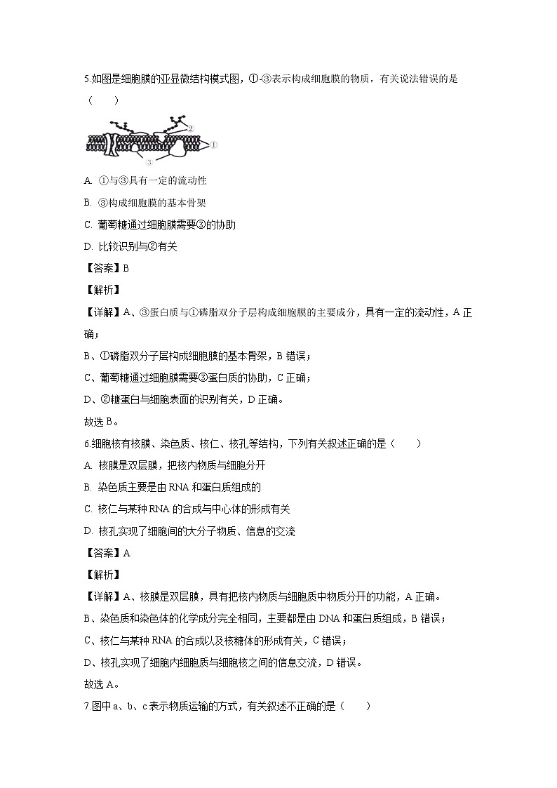 【生物】广西桂林市2019-2020学年高二下学期期末考试质量检测试题（解析版）03