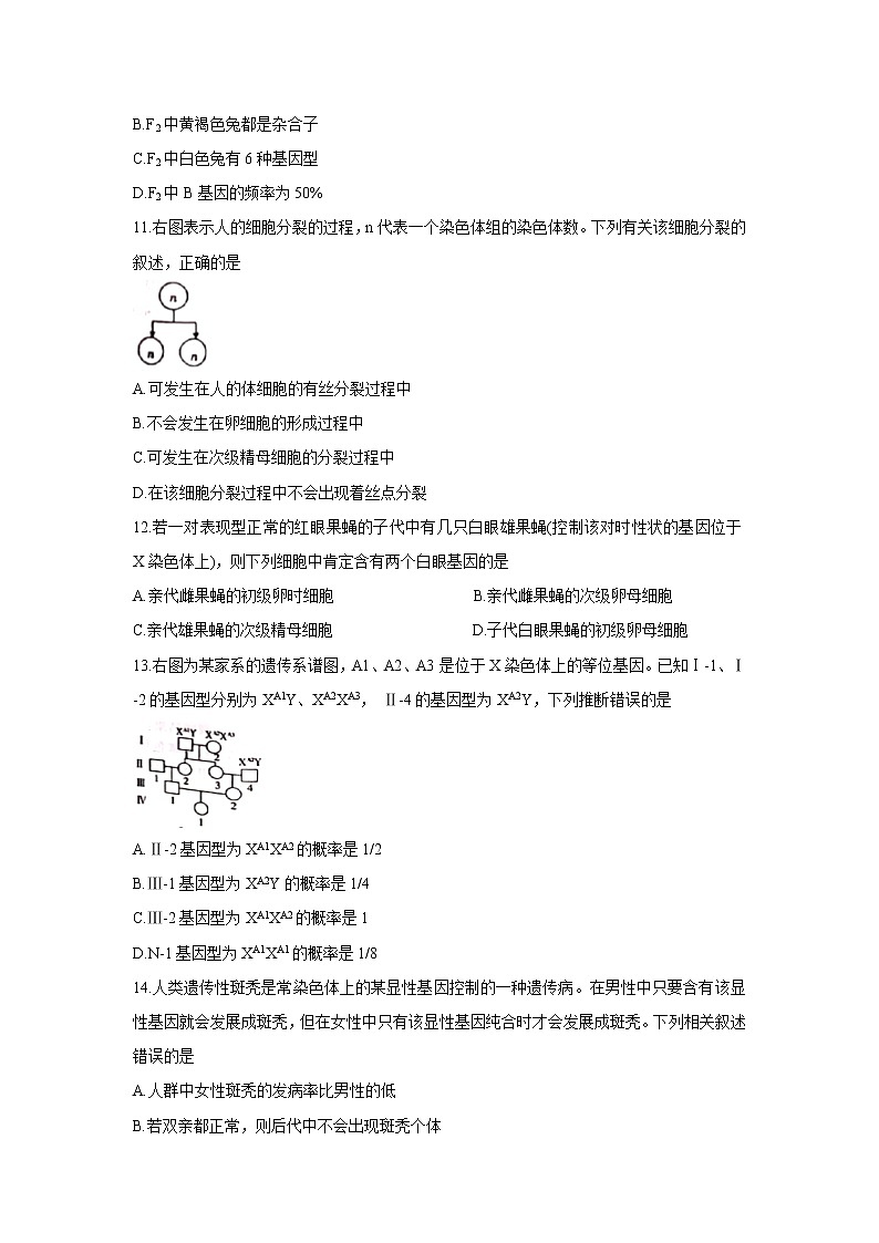 【生物】贵州省黔南州2019-2020学年高二下学期期末考试试题03