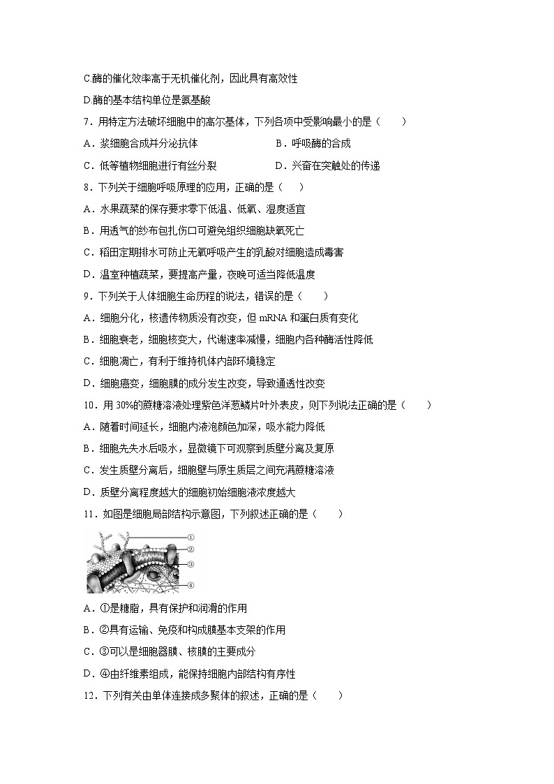 【生物】贵州省兴仁市凤凰中学2019-2020学年高二下学期期末考试试题 (1)02