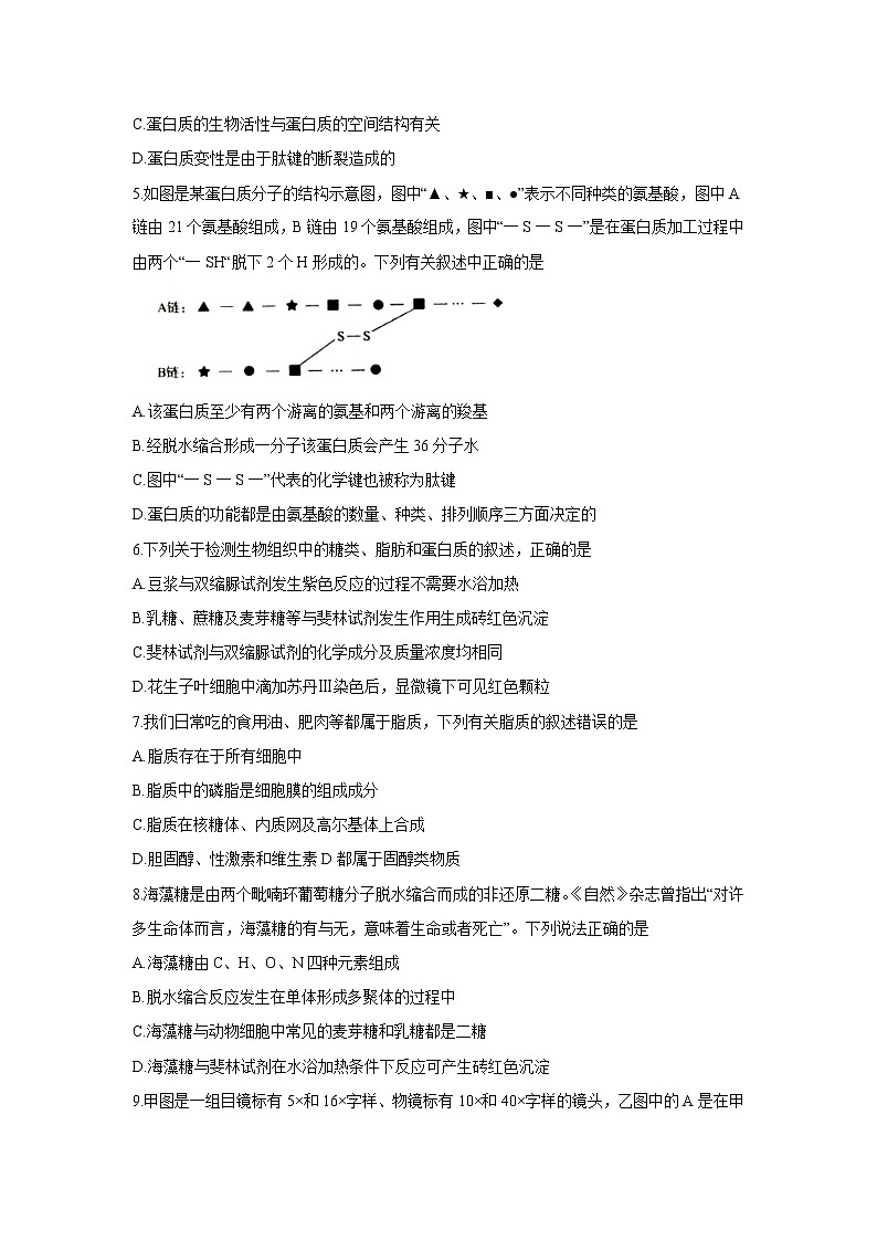 【生物】湖北省黄冈市2019-2020学年高二下学期期末考试试题02