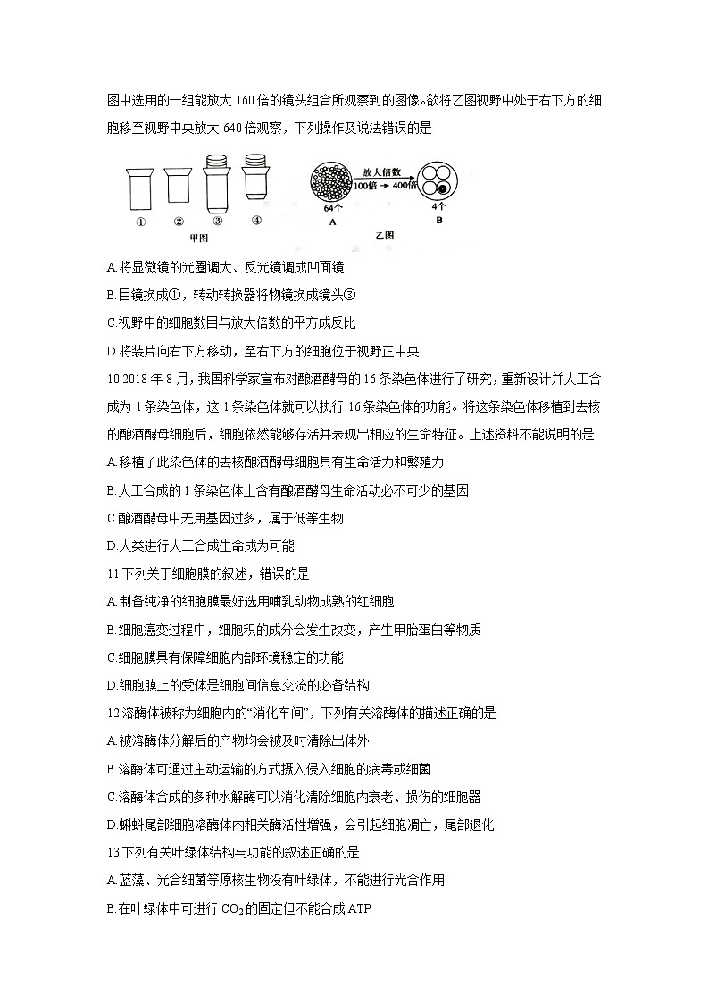 【生物】湖北省黄冈市2019-2020学年高二下学期期末考试试题03
