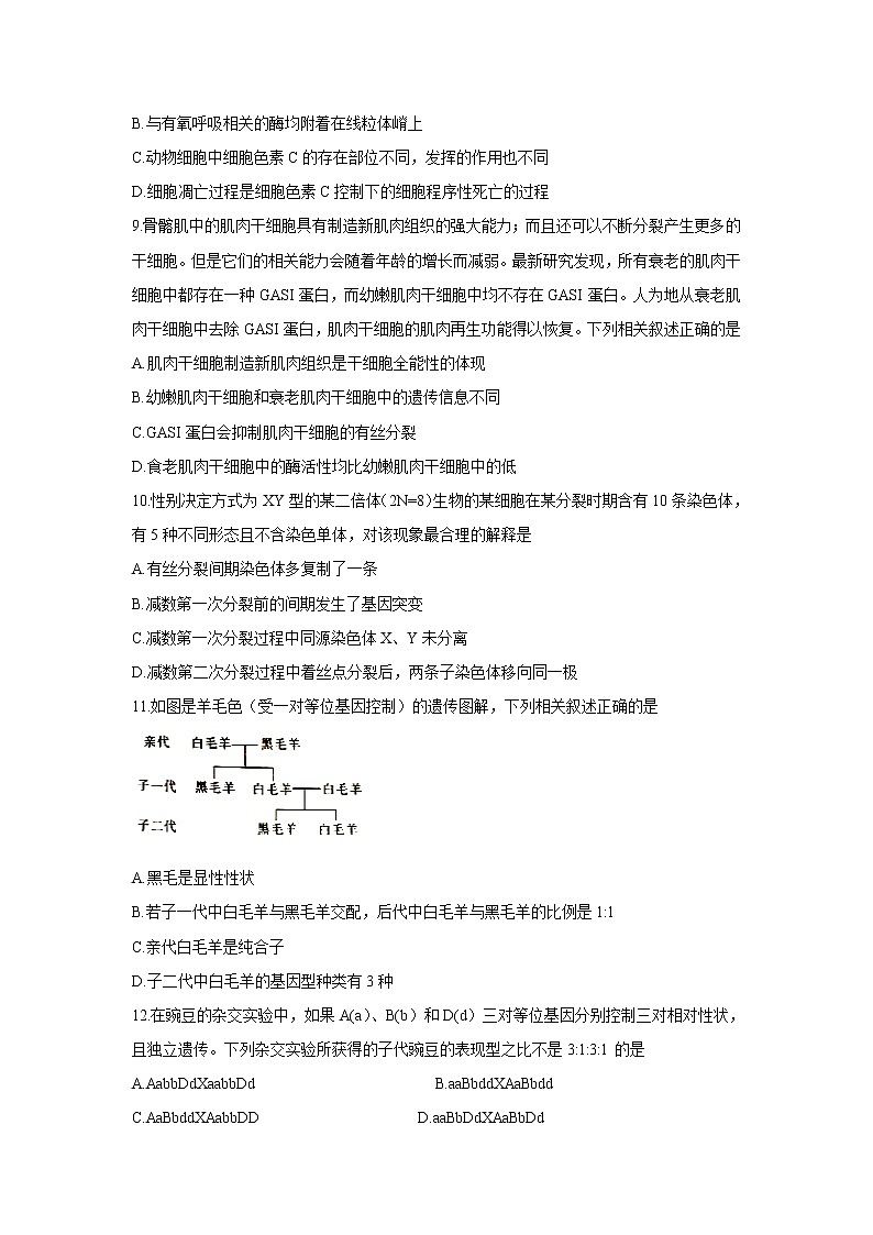 【生物】湖北省恩施州2019-2020学年高二下学期期末调研考试试题03