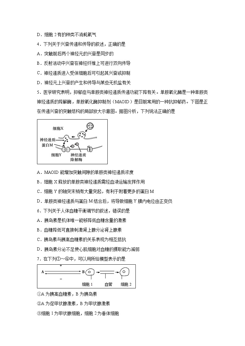 【生物】湖北省名师联盟2019-2020学年高二上学期期末考试备考精编金卷（B）试题（解析版）02