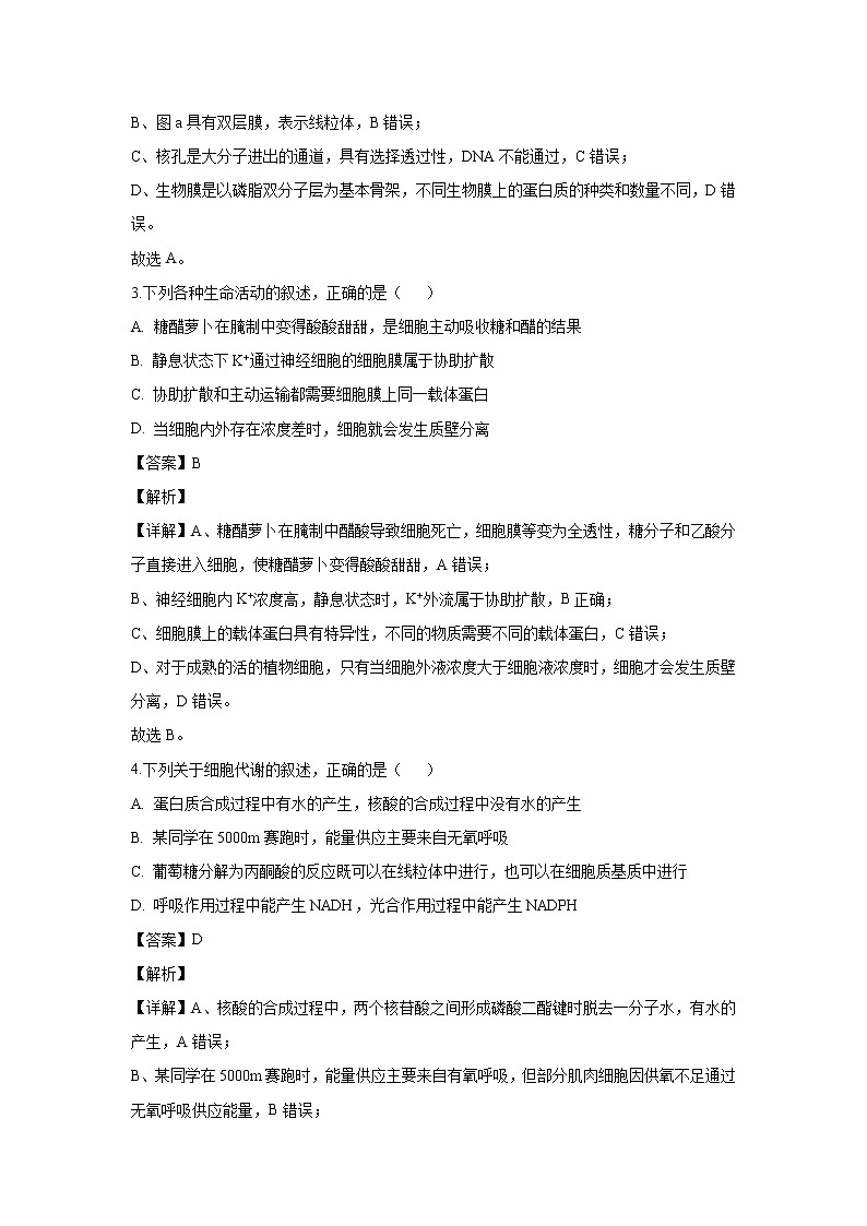 【生物】湖南省益阳市2019-2020学年高二上学期期末考试试题（解析版）02