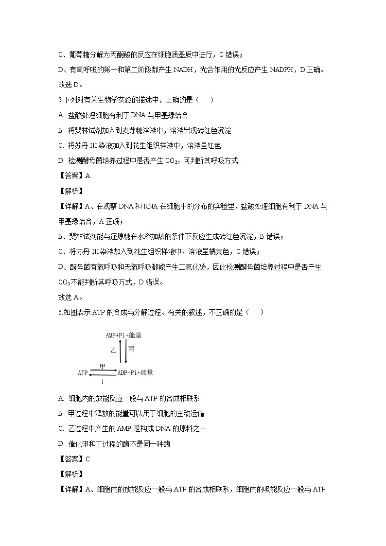 【生物】湖南省益阳市2019-2020学年高二上学期期末考试试题（解析版）03