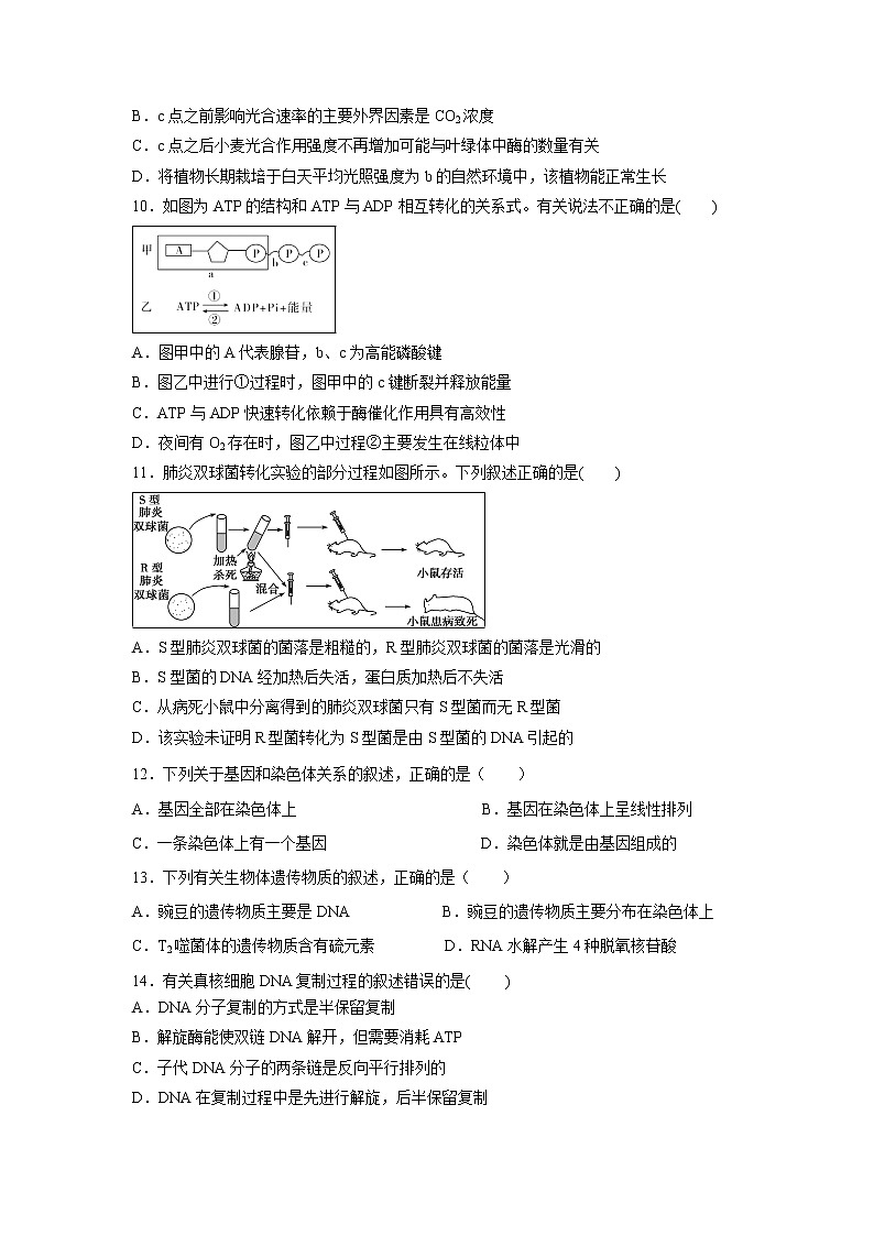 【生物】黑龙江省哈尔滨市第六中学2019-2020学年高二上学期期末考试试题03