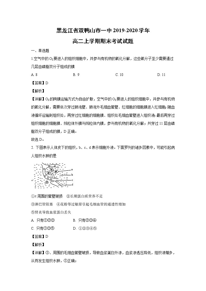 【生物】黑龙江省双鸭山市一中2019-2020学年高二上学期期末考试试题（解析版）01