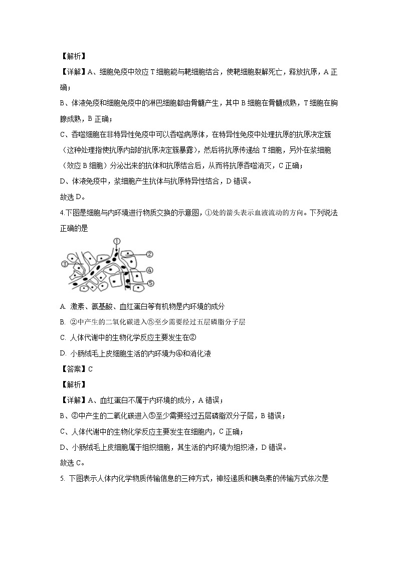 【生物】黑龙江省哈尔滨市三中2019-2020学年高二上学期期末考试试题（解析版）02