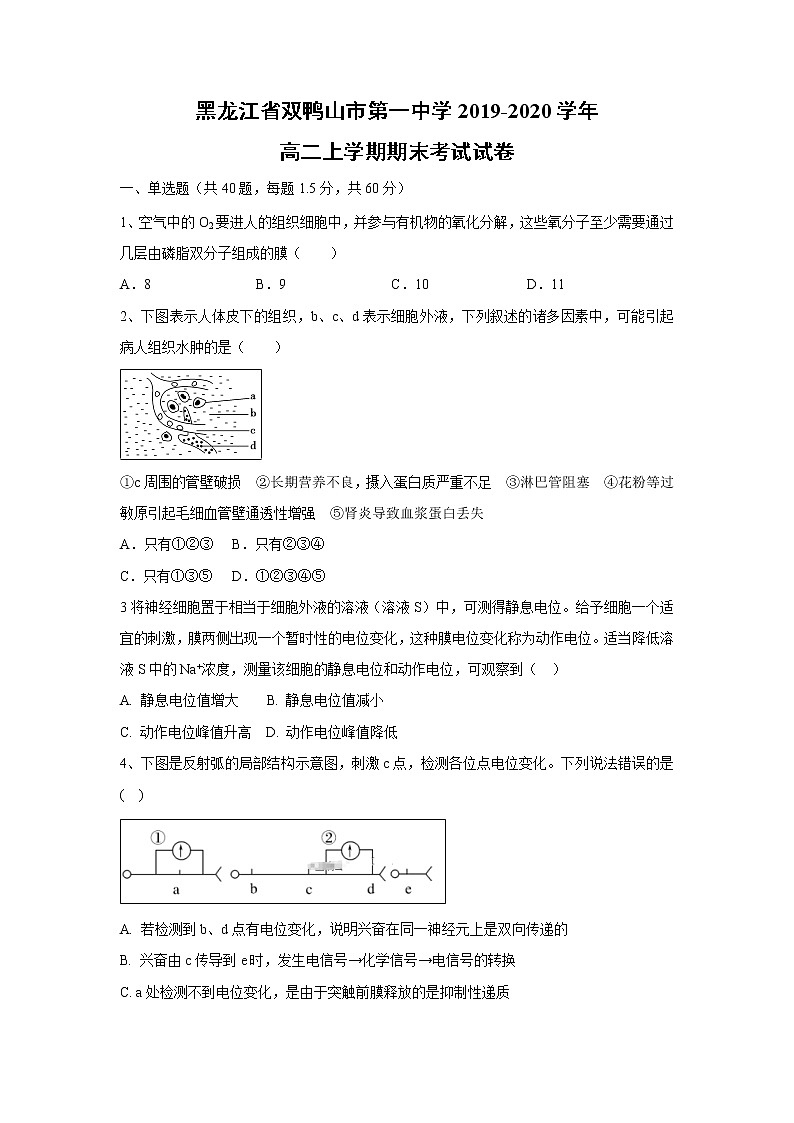 【生物】黑龙江省双鸭山市第一中学2019-2020学年高二上学期期末考试试卷（解析版）01