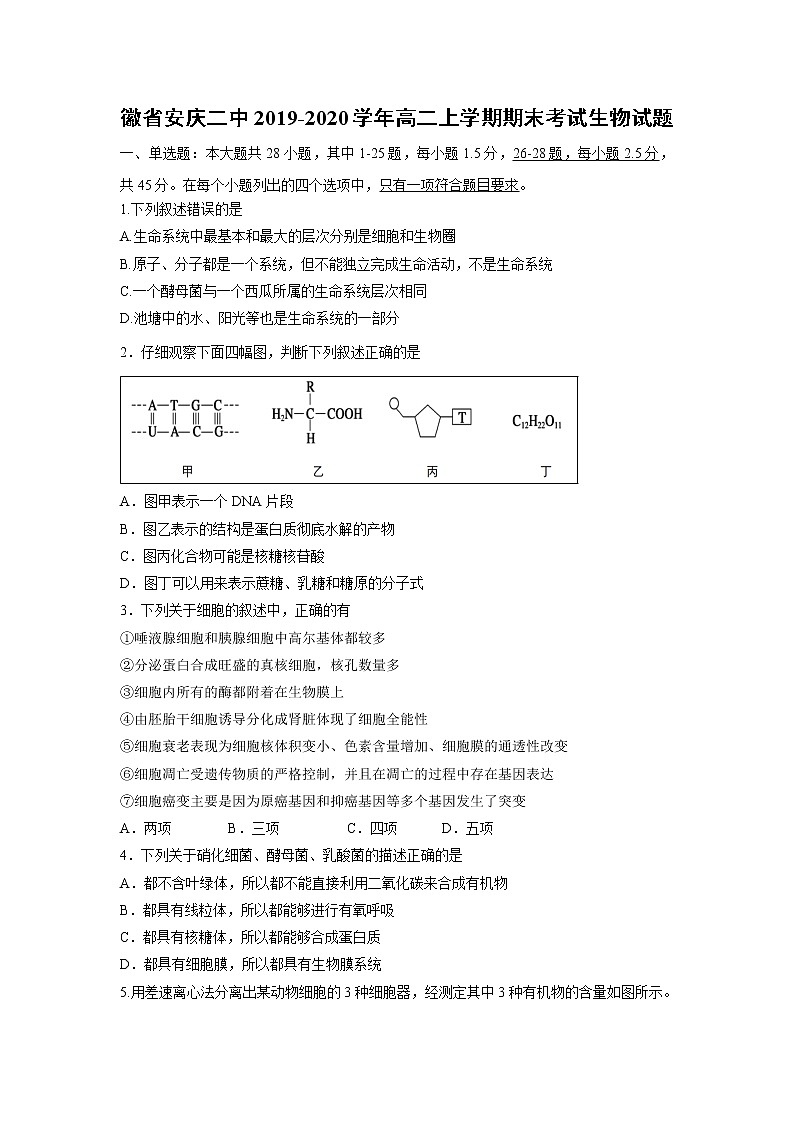 【生物】徽省安庆二中2019-2020学年高二上学期期末考试生物试题01