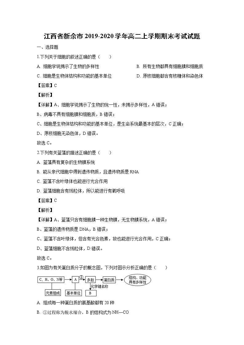 【生物】江西省新余市2019-2020学年高二上学期期末考试试题（解析版）01