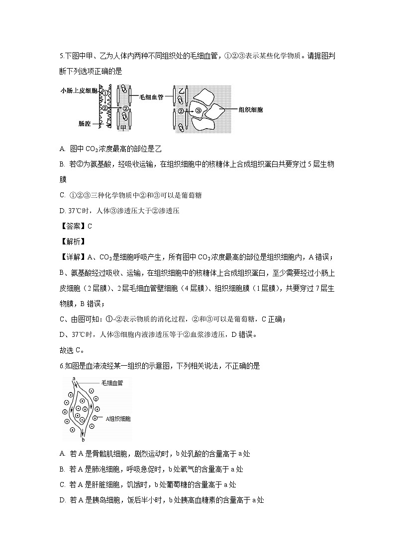 【生物】吉林省辉煌联盟九校2019-2020学年高二上学期期末考试试题（解析版）第3页
