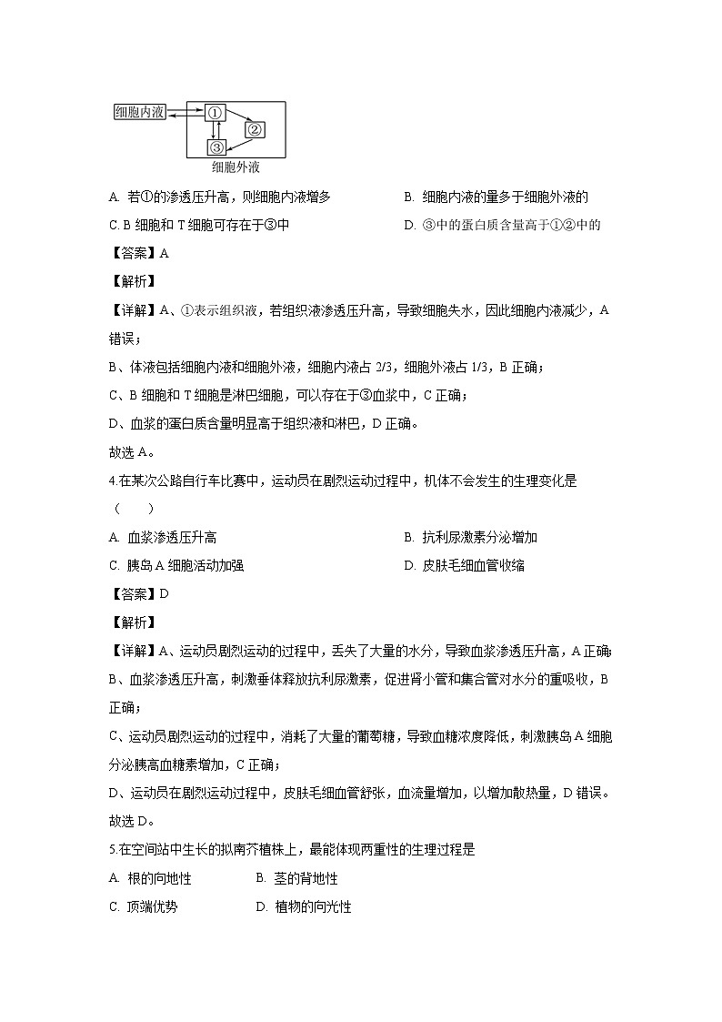 【生物】吉林省通化市梅河口市五中2019-2020学年高二上学期期末考试试题（解析版）02