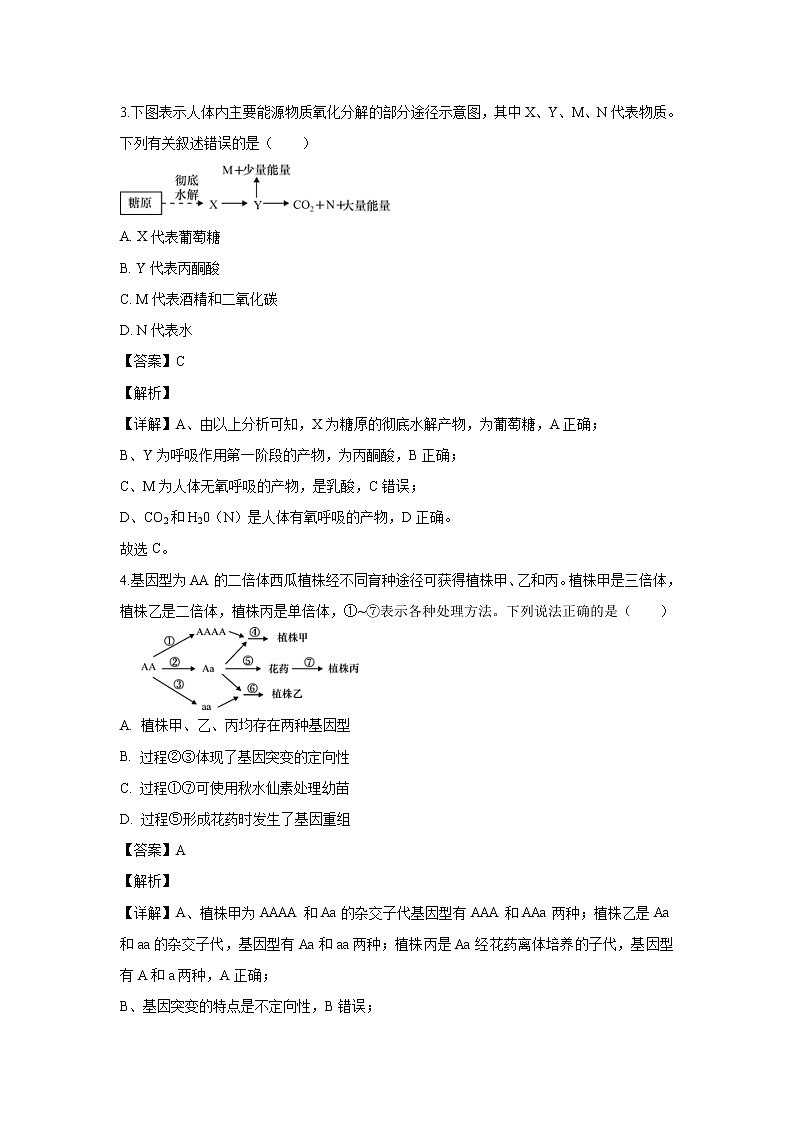 【生物】江苏省南通市如皋中学2019-2020学年高二上学期期末考试试题（解析版）02