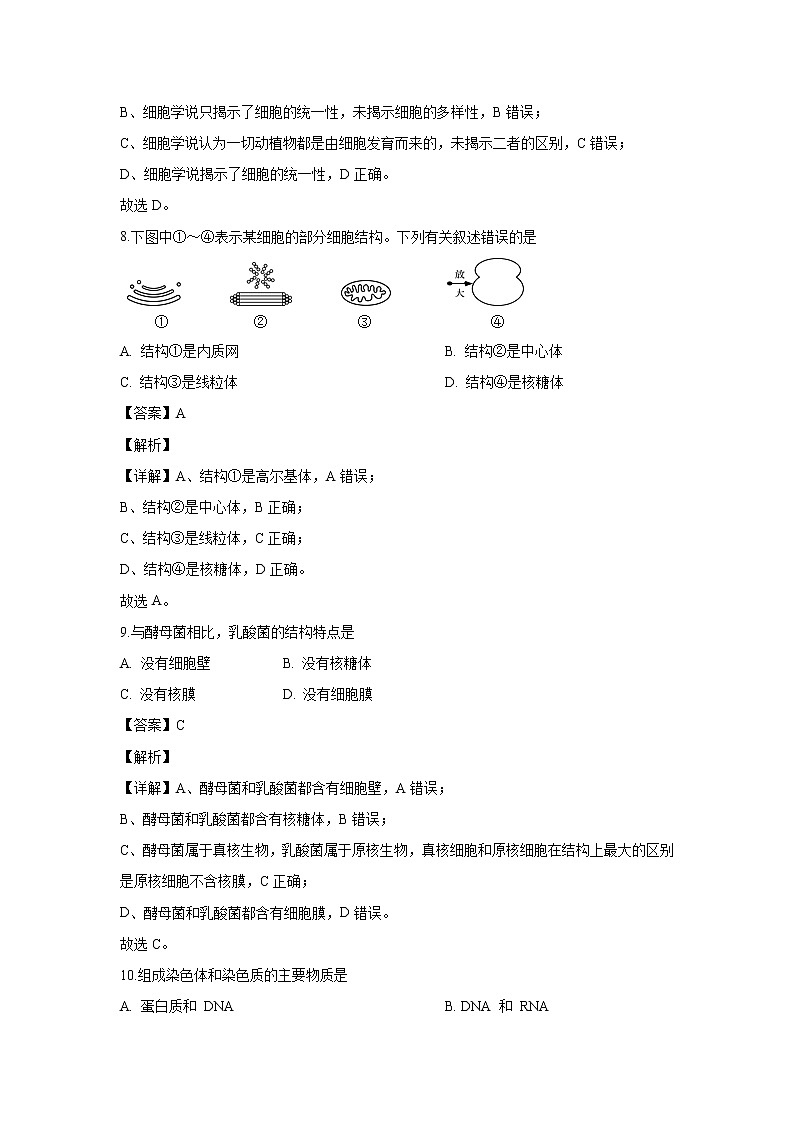 【生物】江苏省徐州市2019-2020学年高二上学期期末考试试题（解析版）第3页