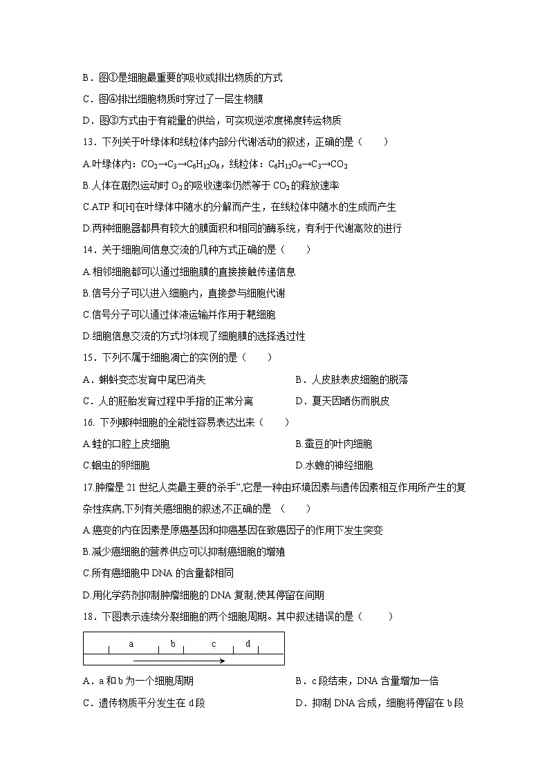 【生物】宁夏海原县第一中学2019-2020学年高二上学期期末考试试题03