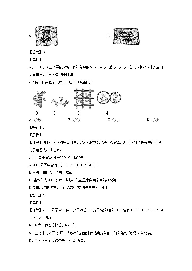 【生物】上海市松江区2019-2020学年高二上学期期末质量监控试题（解析版）02