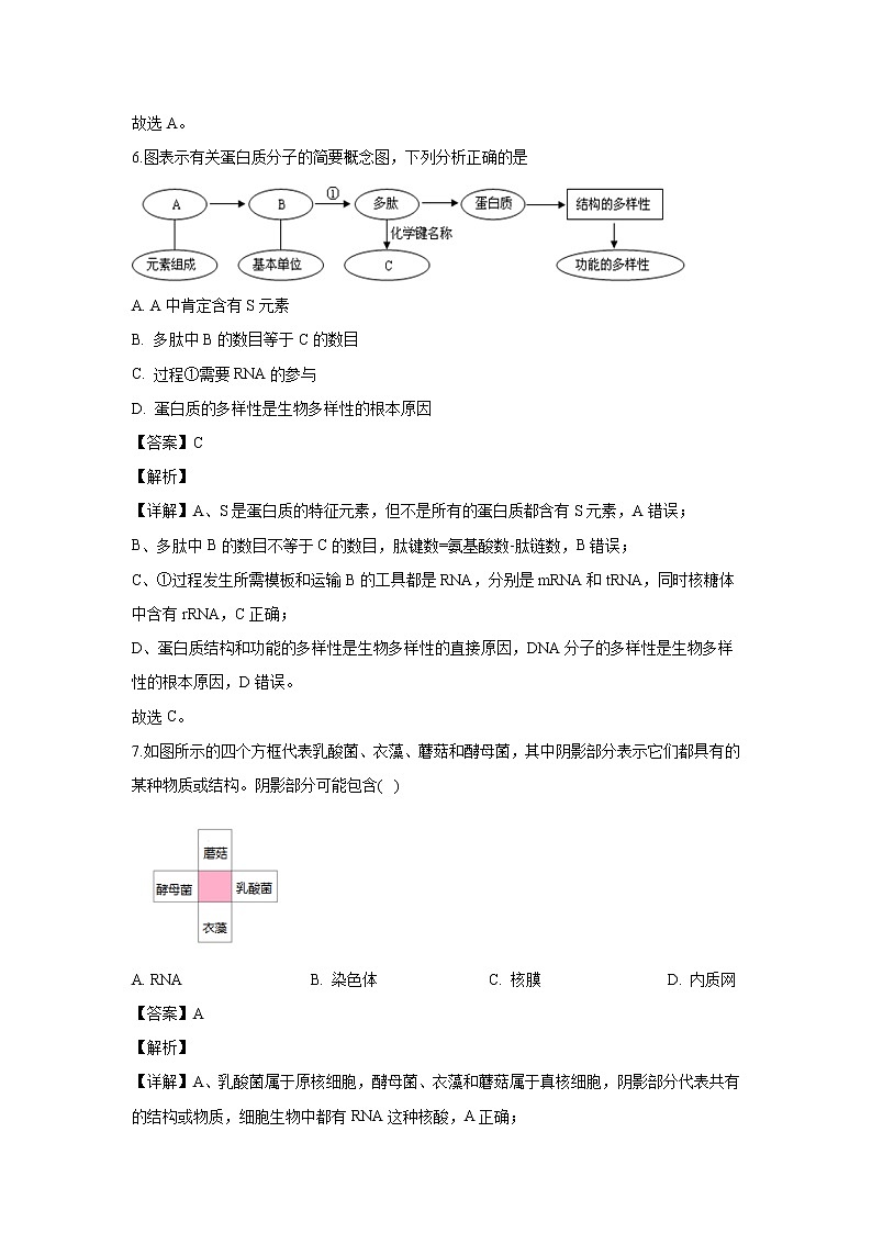 【生物】上海市松江区2019-2020学年高二上学期期末质量监控试题（解析版）03