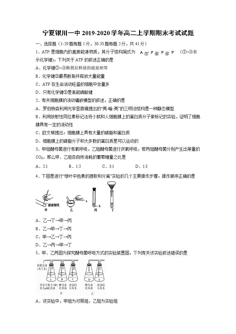 【生物】宁夏银川一中2019-2020学年高二上学期期末考试试题01