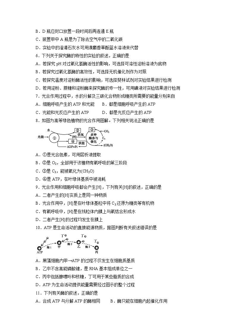 【生物】宁夏银川一中2019-2020学年高二上学期期末考试试题02