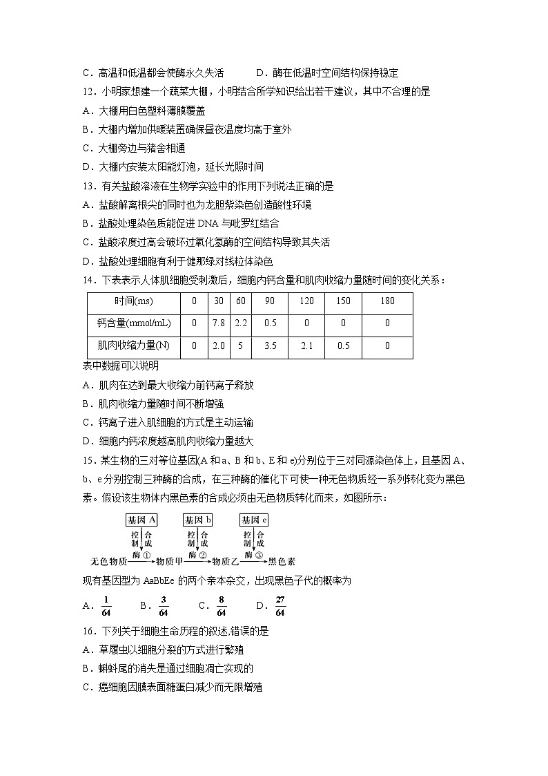 【生物】宁夏银川一中2019-2020学年高二上学期期末考试试题03