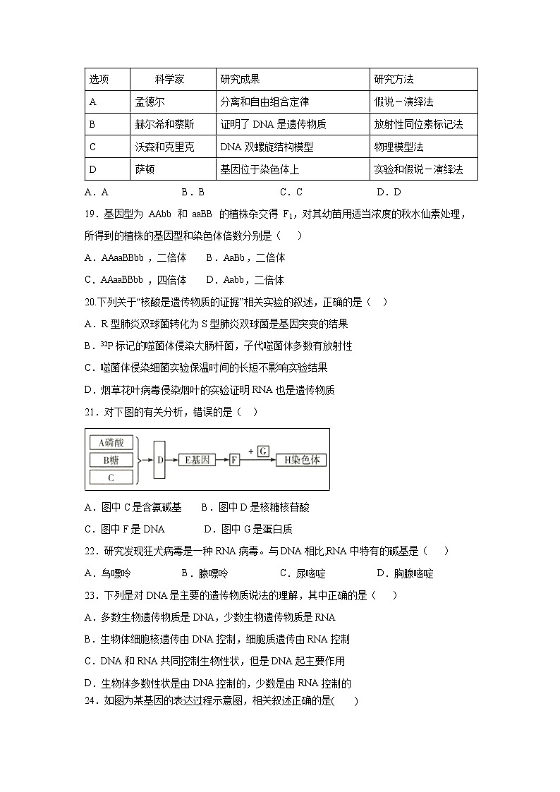 【生物】宁夏青铜峡市高级中学2019-2020学年高二上学期期末考试试题03
