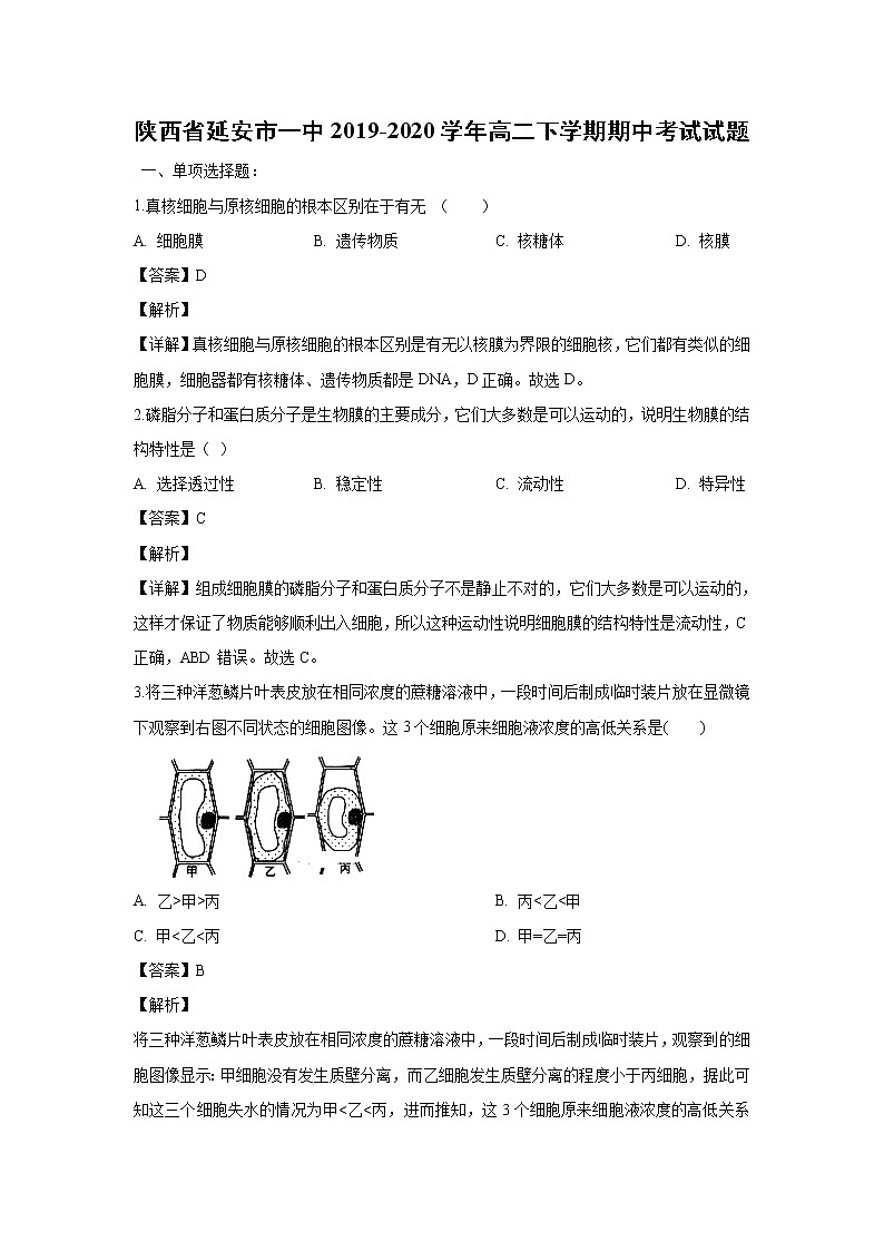 【生物】陕西省延安市一中2019-2020学年高二下学期期中考试试题（解析版）第1页