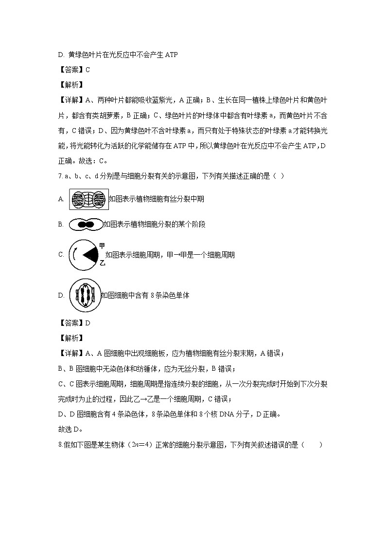 【生物】陕西省延安市一中2019-2020学年高二下学期期中考试试题（解析版）第3页