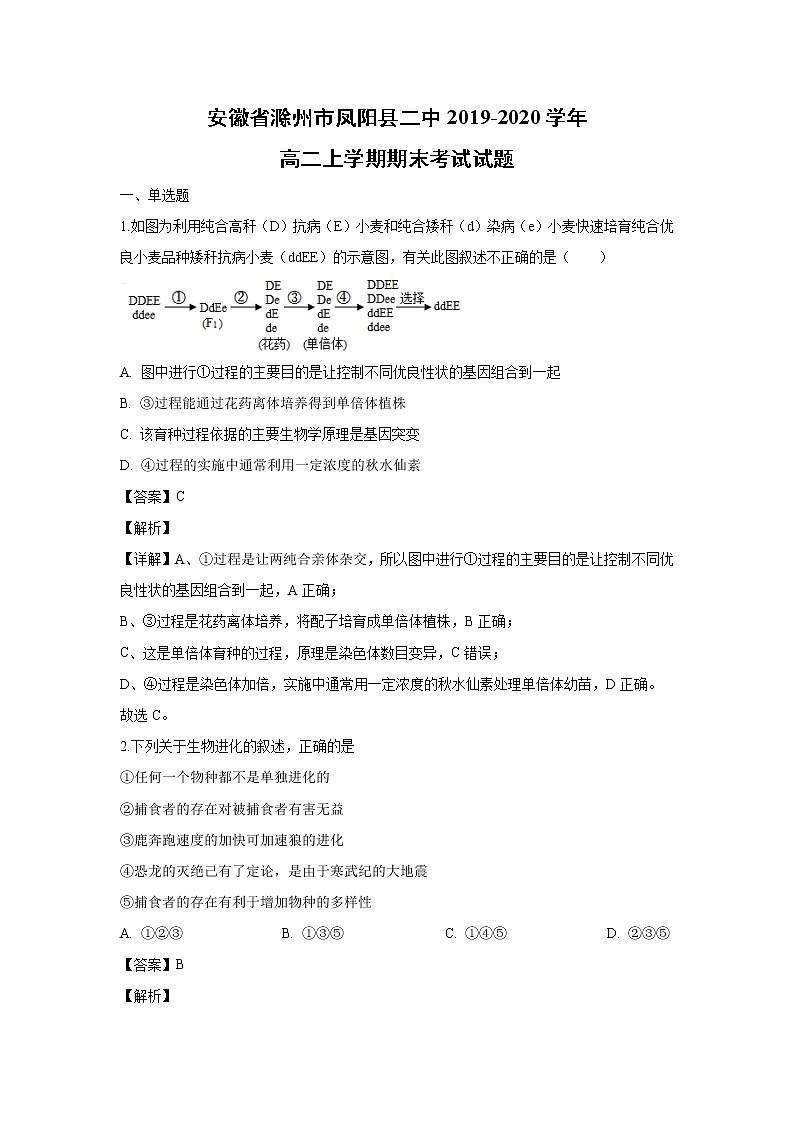 【生物】安徽省滁州市凤阳县二中2019-2020学年高二上学期期末考试试题（解析版）01