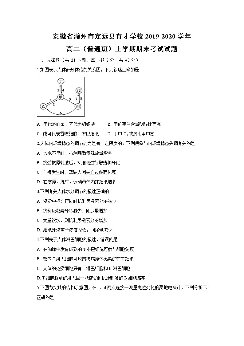 【生物】安徽省滁州市定远县育才学校2019-2020学年高二（实验班）上学期期末考试试题01