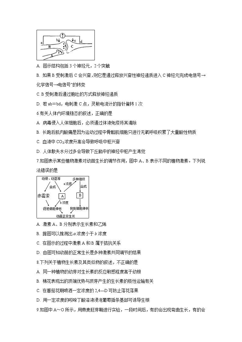 【生物】安徽省滁州市定远县育才学校2019-2020学年高二（实验班）上学期期末考试试题02
