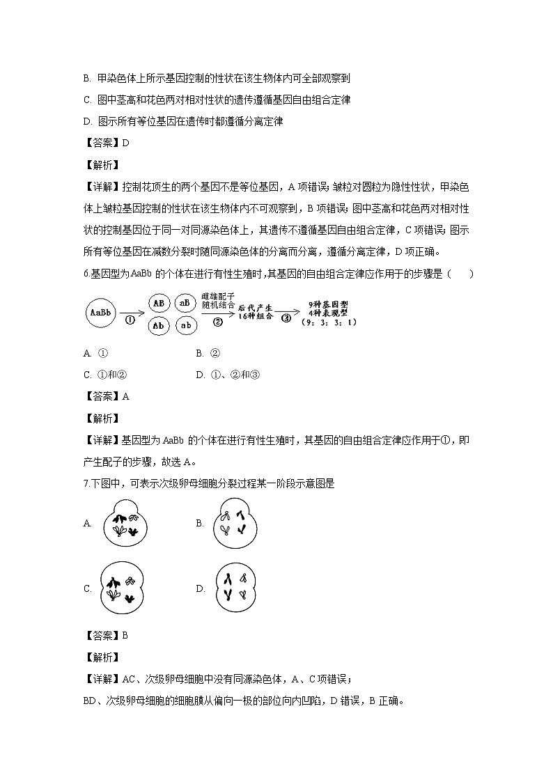 【生物】安徽省合肥市六校2019-2020学年高二上学期期末考试试题（解析版）03