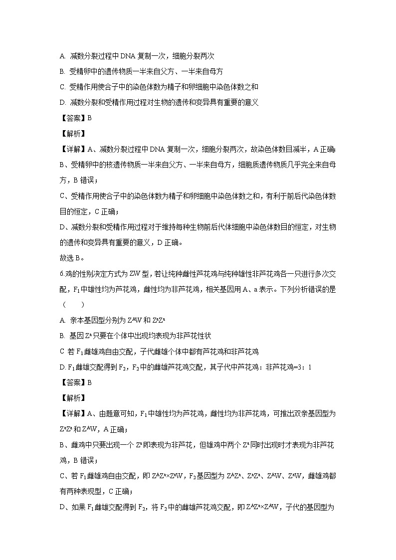 【生物】安徽省界首市2019-2020学年高二上学期期末考试试题（解析版）第3页